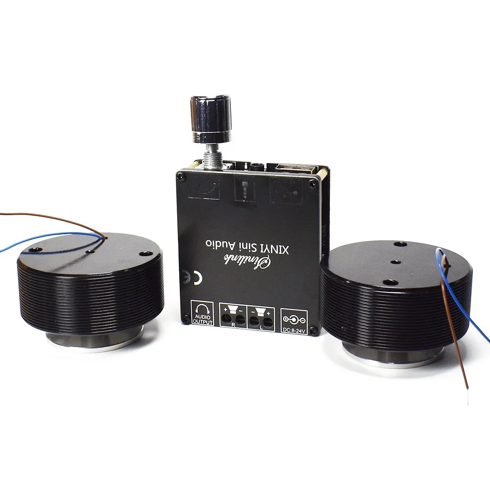 1 Set 50W 2.0 HIFI Vibration S - Home Cinema Amplifier 评论和价格