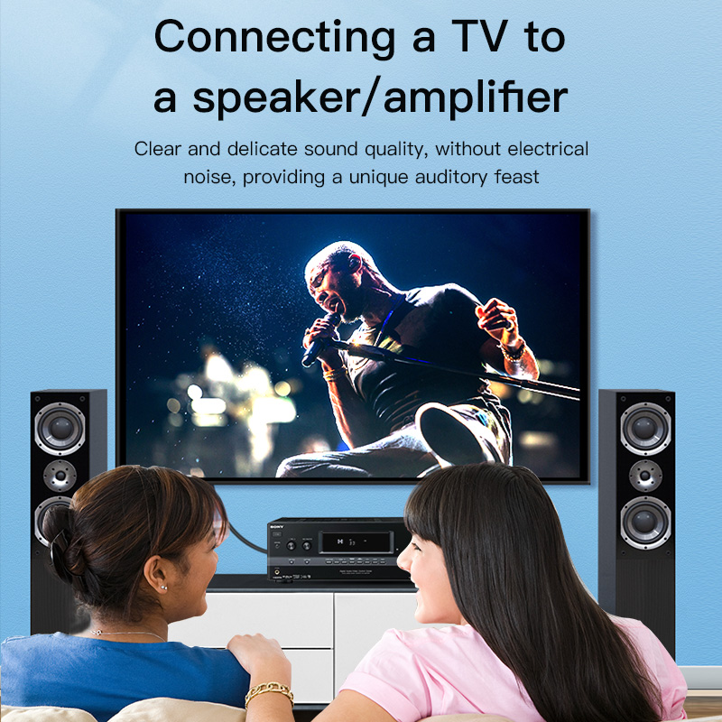 CHOSEAL RCA Cable Digital Coax - Home Cinema Amplifier 评论和价格